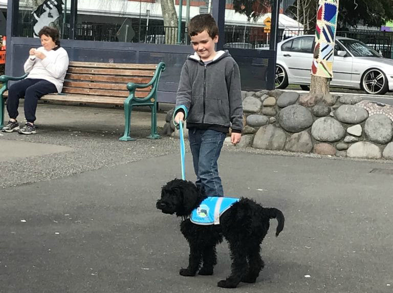 Therapy Dog Gabriel on Lead with Child