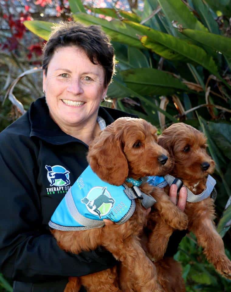 Therapy Dog New Zealand New Arrivals with Wendy