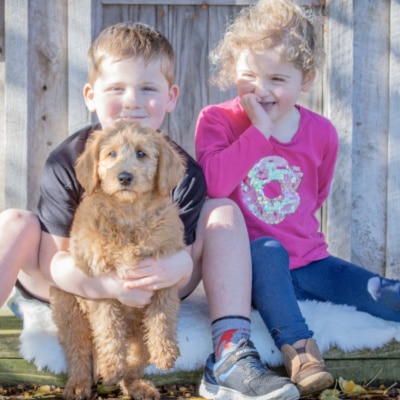 Disability Therapy Dog with two children