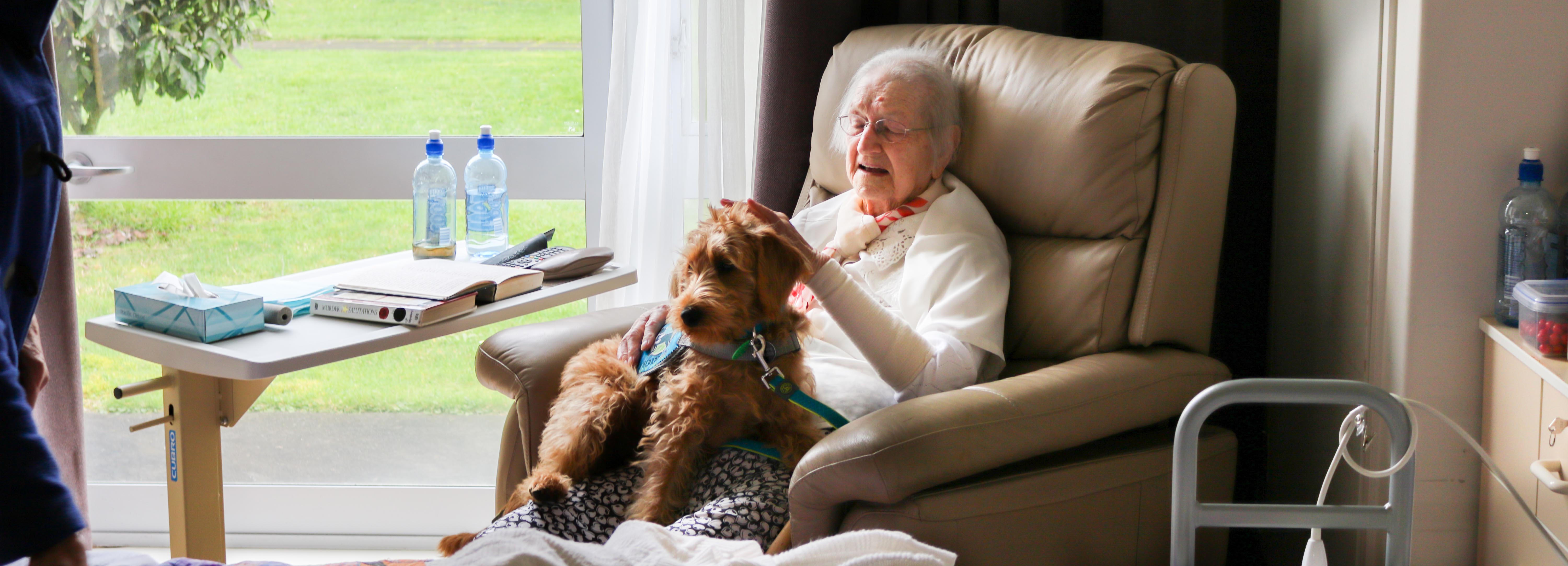 facility-therapy-dogs-therapy-dogs-new-zealand