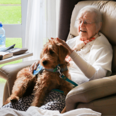Facility Therapy Dog with Old Lady