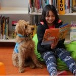 What Is A Therapy Dog? - Therapy Dogs New Zealand